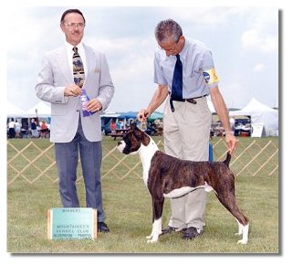Judge Carl Liepmann awarded BJ WD for his 1st point at the Mountaineer Kennel Club Show.