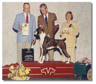 BJ winning Best Puppy in Sweepstakes under judge Robert Phillips